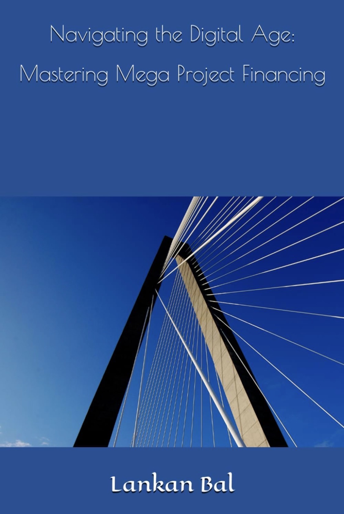 Navigating the Digital Age Book Cover